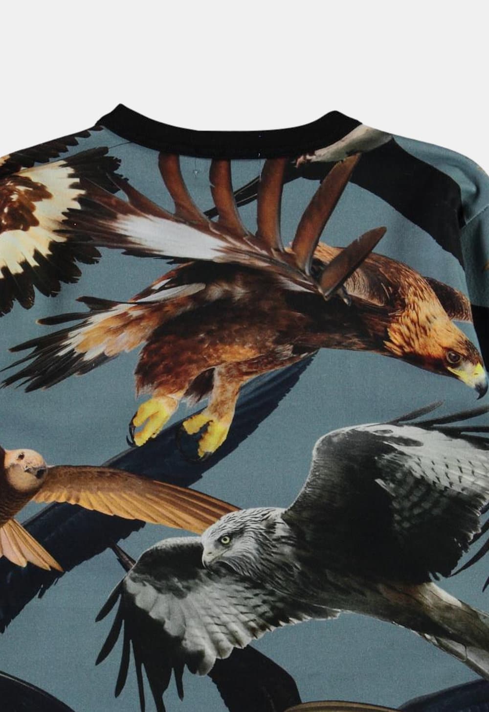 Molo Longsleeve ‘Rill – Birds’ (230856) Molo Longsleeve ‘Rill – Birds’ (230856)