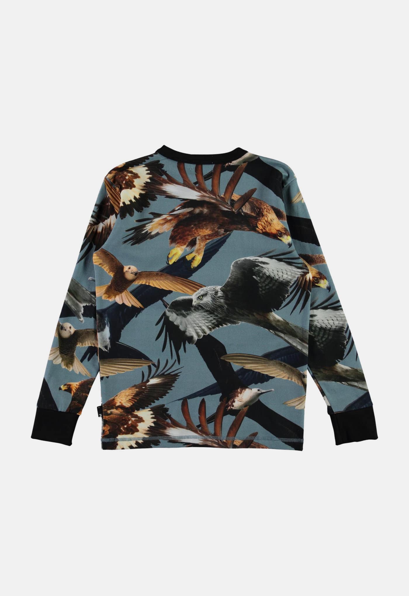 Molo Longsleeve ‘Rill – Birds’ (230856) Molo Longsleeve ‘Rill – Birds’ (230856)
