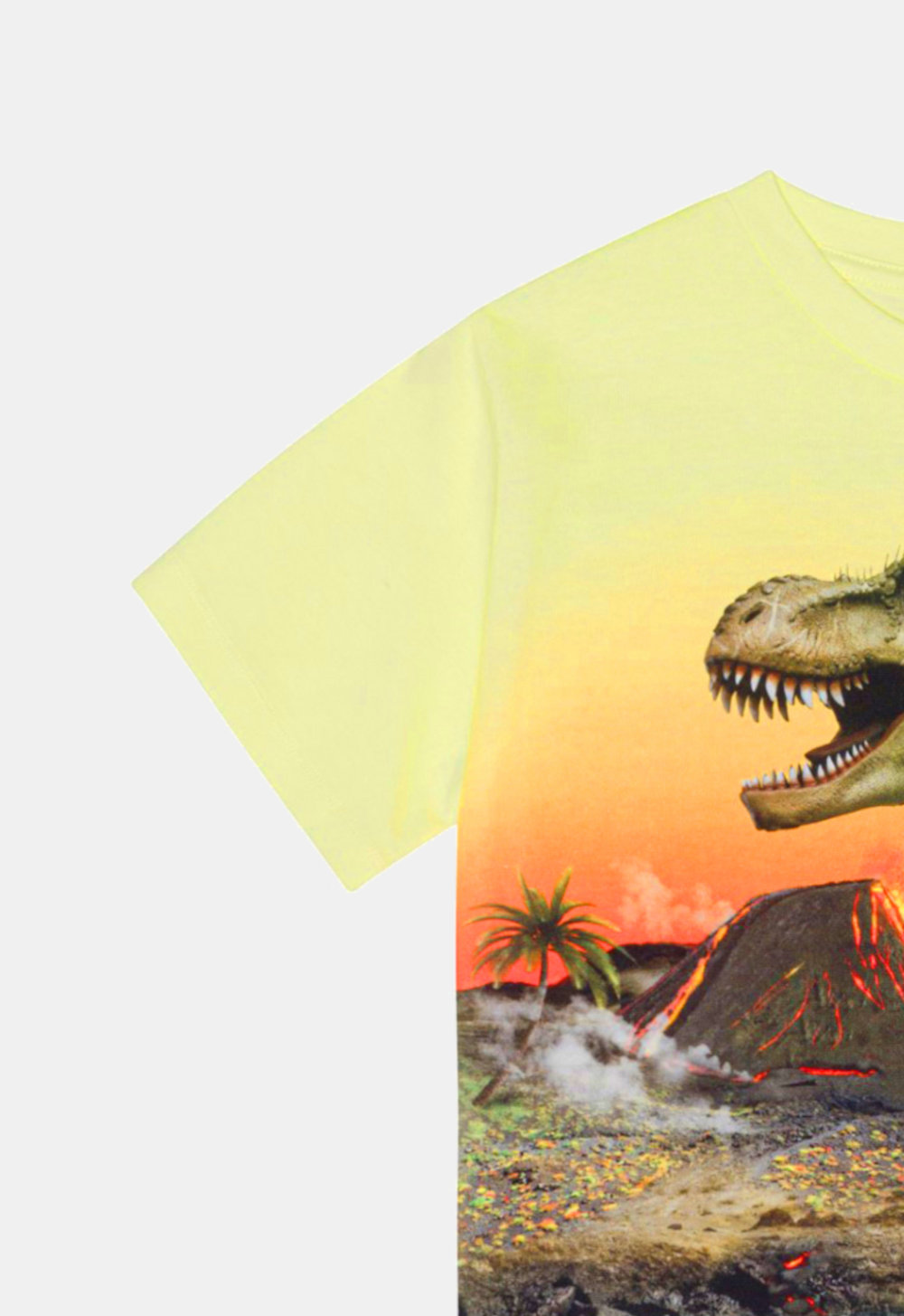Molo T-Shirt ‘Riley – Volcano Dino’ (235797) Molo T-Shirt ‘Riley – Volcano Dino’ (235797)