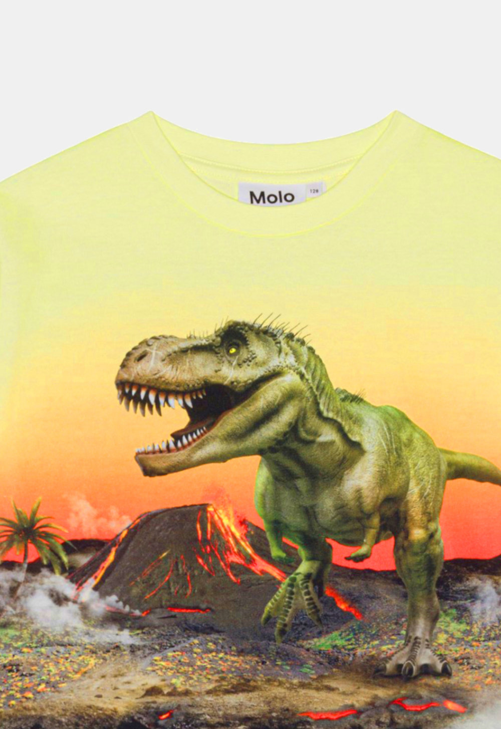 Molo T-Shirt ‘Riley – Volcano Dino’ (235797) Molo T-Shirt ‘Riley – Volcano Dino’ (235797)