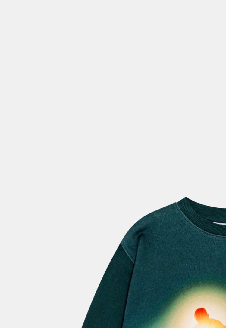 Molo Sweater ‘Mattis – Green Night Skate’ (235822) Molo Sweater ‘Mattis – Green Night Skate’ (235822)