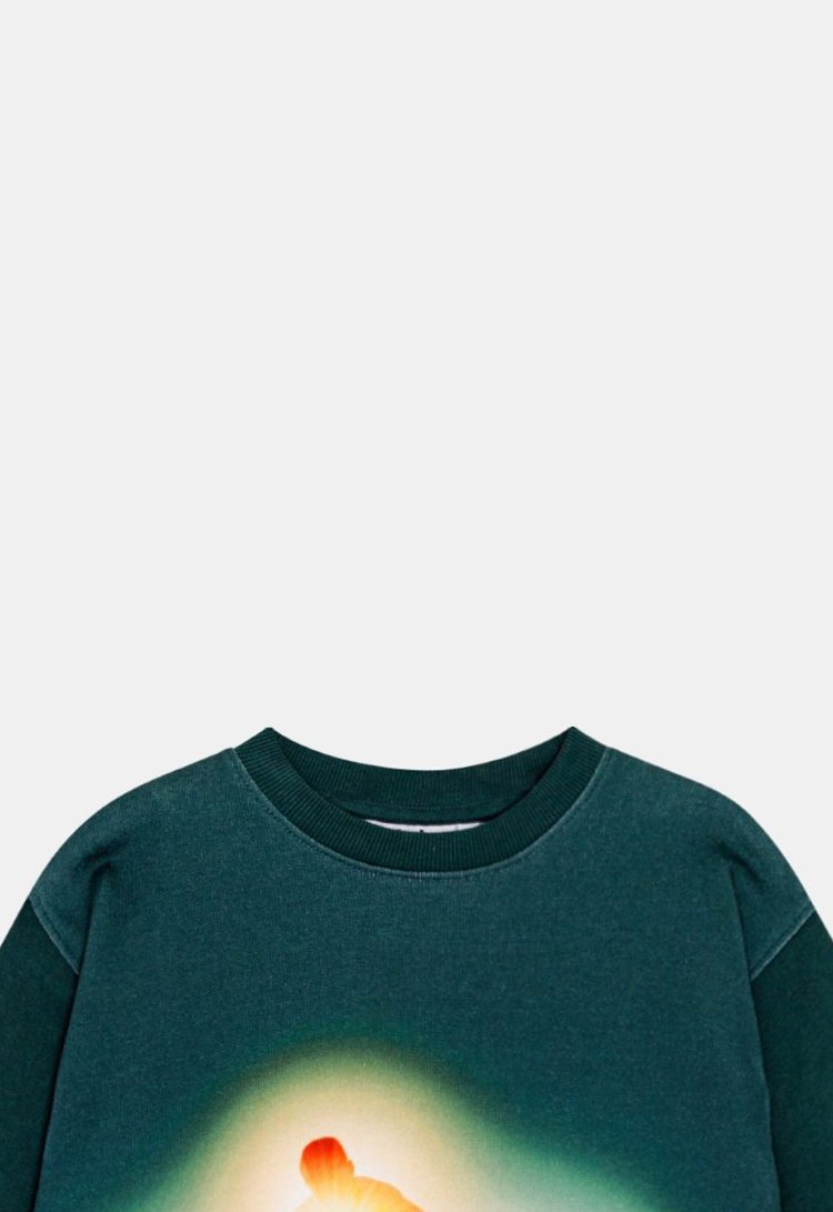 Molo Sweater ‘Mattis – Green Night Skate’ (235822) Molo Sweater ‘Mattis – Green Night Skate’ (235822)