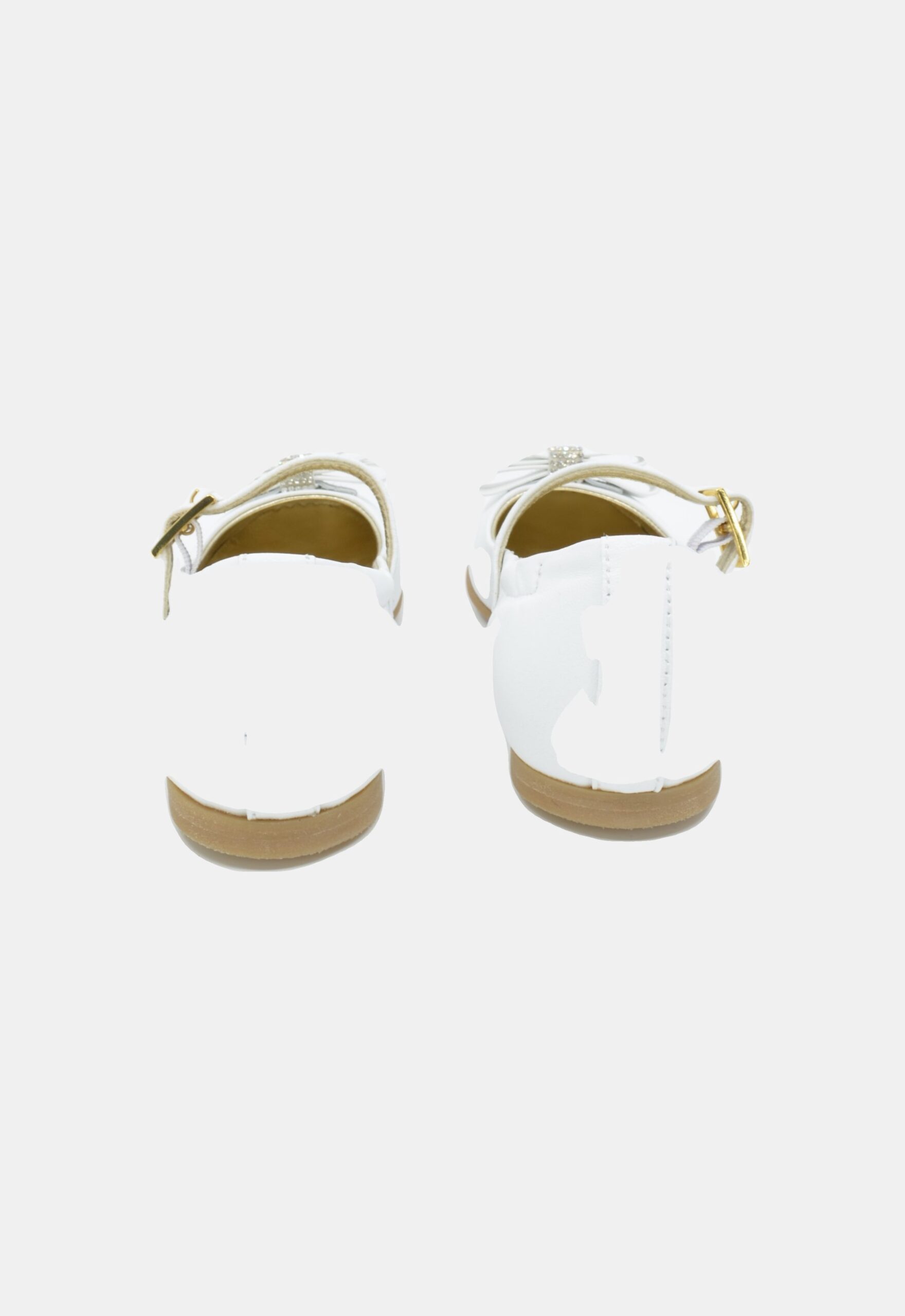 Morelli Ballerina’s Wit (227769) Morelli Ballerina’s Wit (227769)