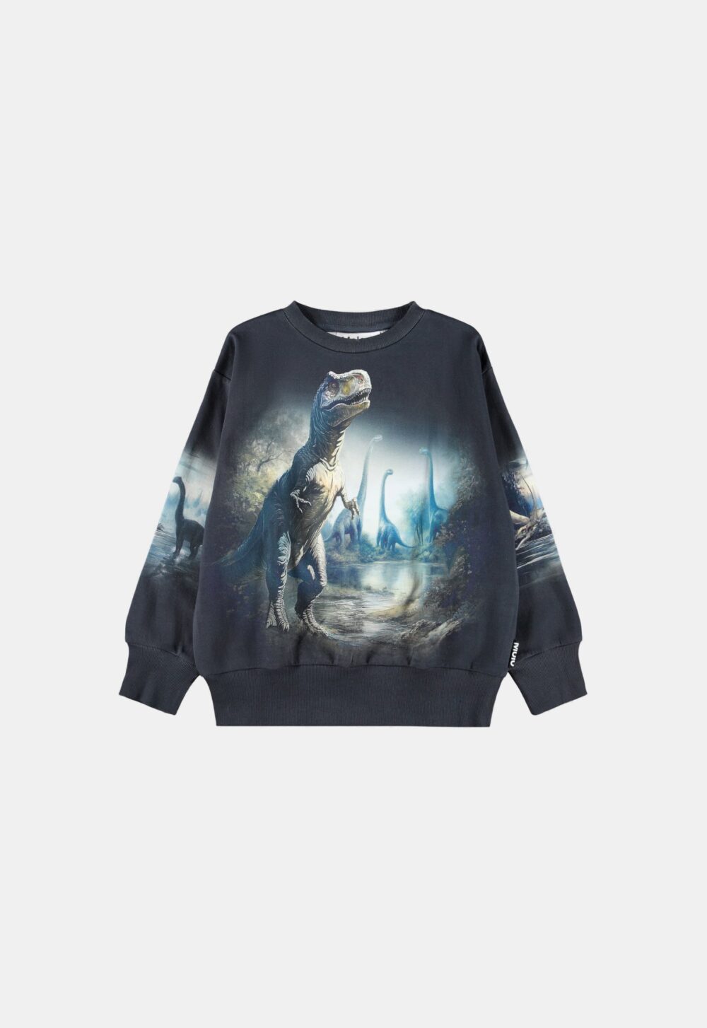 Molo Sweater ‘Mattis’ (235827)
